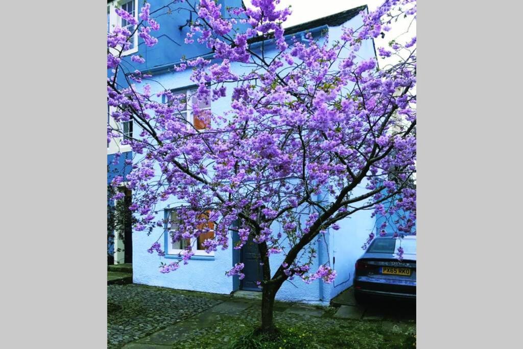 קוקרמאות' Albion Cottage מראה חיצוני תמונה